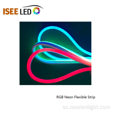 BiyoProfprof SMD5050 waxay LED rgb Neon Flex ee dibedda